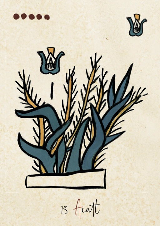 Carte Acatl, treizième signe du Tonalpohualli dans le calendrier aztèque