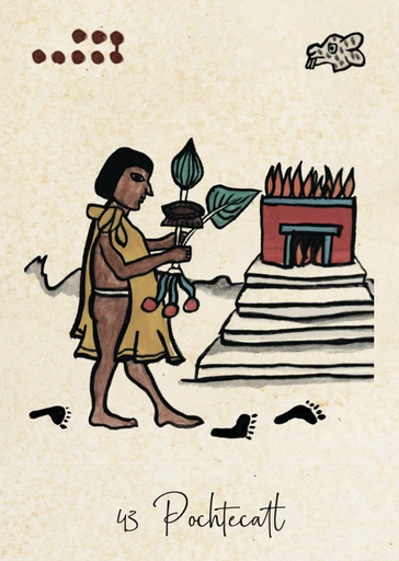 Carte Pochtecatl, figure du marchand et de l’échange dans la Tonalpedia